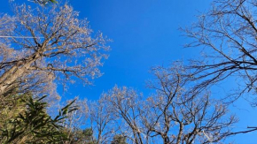 Yangyang Little Forest Pension